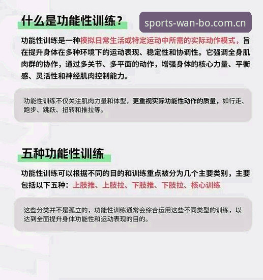 万搏体育官方网站必备 揭秘万搏体育官方网站必备的五大创新功能,你不知道的事